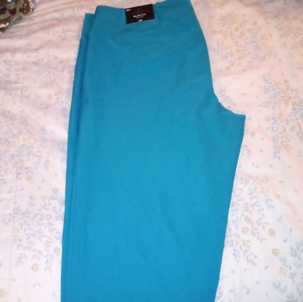Dress pants